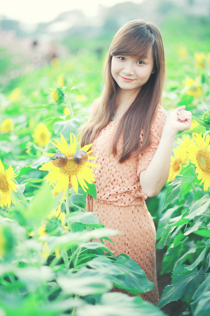 sejiejie
